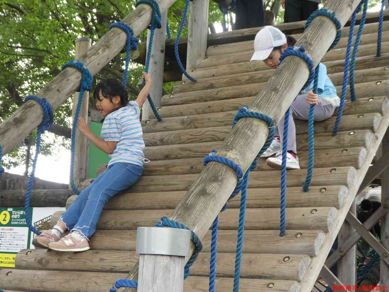s-P1050132