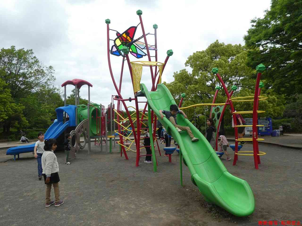 s-P1050178