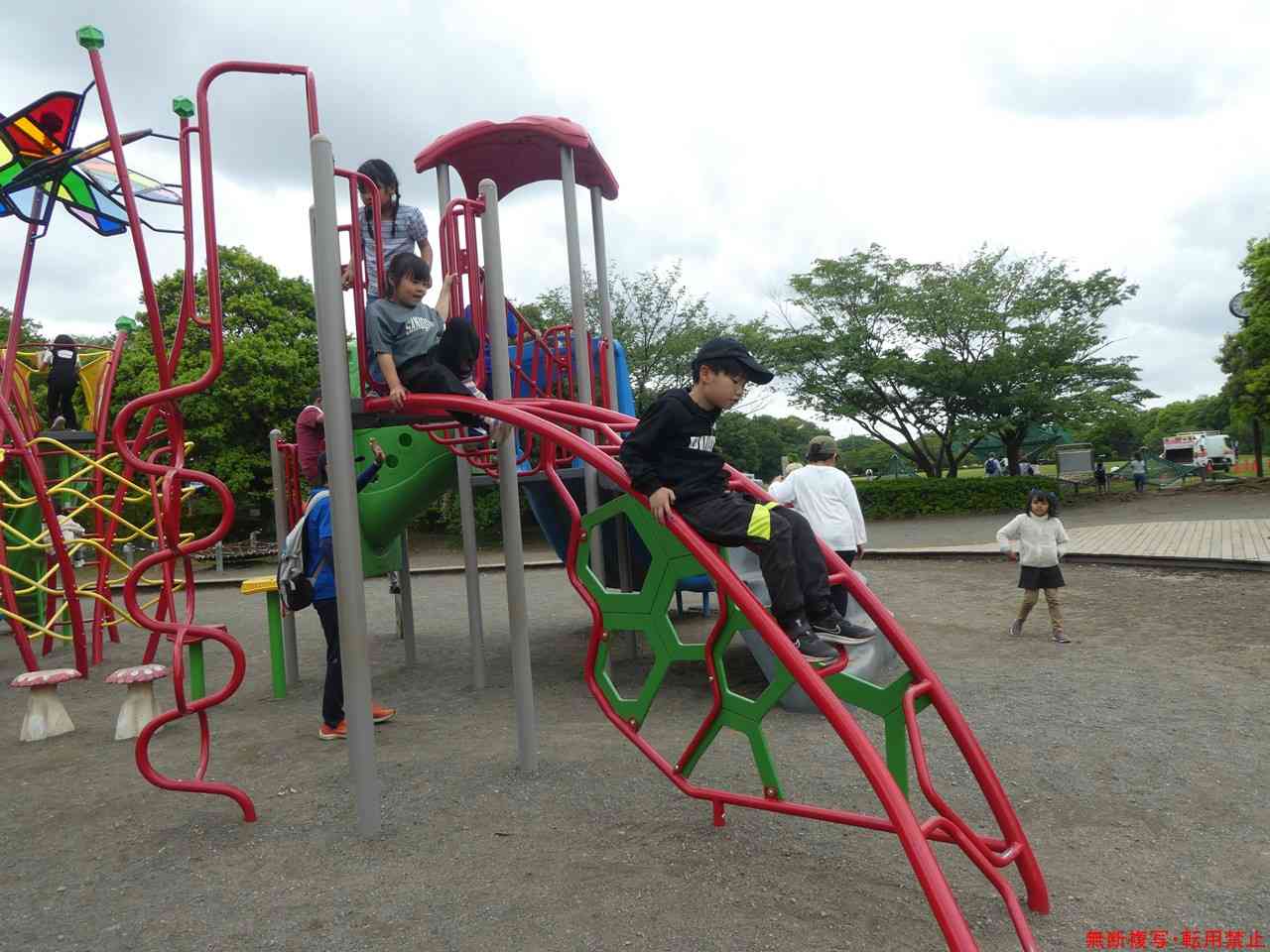 s-P1050181